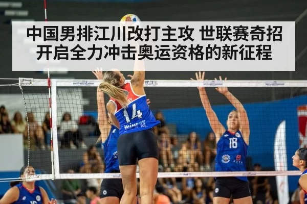 volleyball match