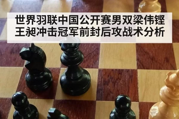 世界羽联中国公开赛男双梁伟铿王昶冲击冠军前封后攻战术分析